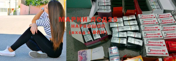 индика Артём