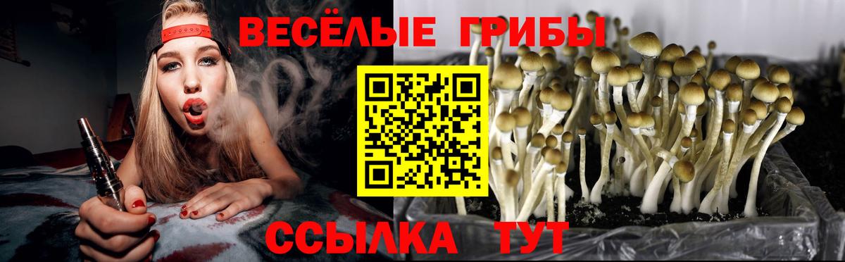 Рубцовск  Псилоцибиновые грибы ЛСД  Вход с VPN  Псилоцибиновые грибы ЛСД 