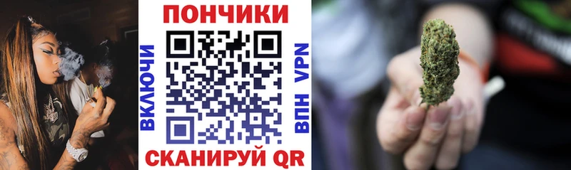 где можно купить   Рубцовск  МАРИХУАНА ГИДРОПОН 